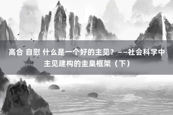 高合 自慰 什么是一个好的主见？——社会科学中主见建构的圭臬框架（下）