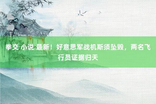 拳交 小说 最新！好意思军战机斯须坠毁，两名飞行员证据归天