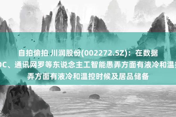 自拍偷拍 川润股份(002272.SZ)：在数据中心、云计较、IDC、通讯网罗等东说念主工智能愚弄方面有液冷和温控时候及居品储备