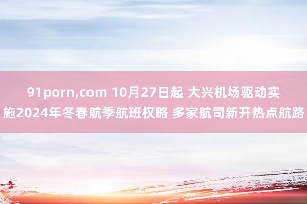 91porn，com 10月27日起 大兴机场驱动实施2024年冬春航季航班权略 多家航司新开热点航路