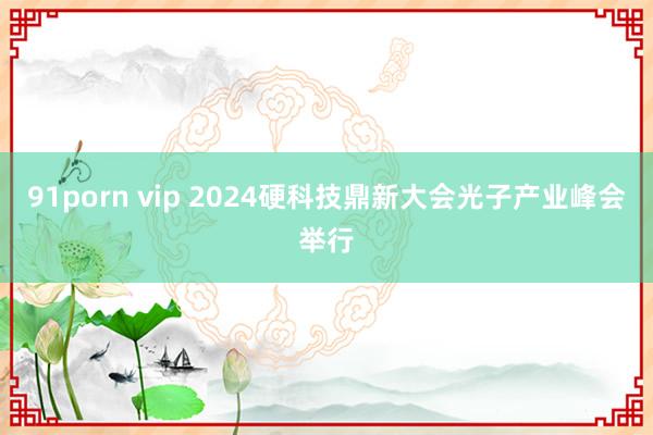 91porn vip 2024硬科技鼎新大会光子产业峰会举行