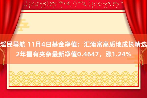 淫民导航 11月4日基金净值：汇添富高质地成长精选2年握有夹杂最新净值0.4647，涨1.24%