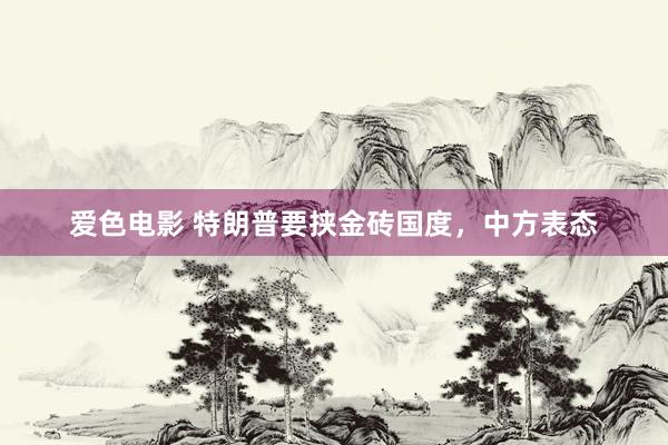 爱色电影 特朗普要挟金砖国度，中方表态