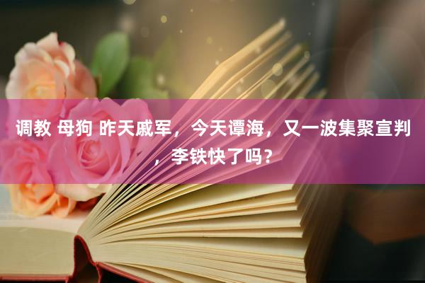 调教 母狗 昨天戚军，今天谭海，又一波集聚宣判，李铁快了吗？