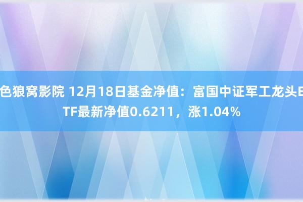 色狼窝影院 12月18日基金净值：富国中证军工龙头ETF最新净值0.6211，涨1.04%