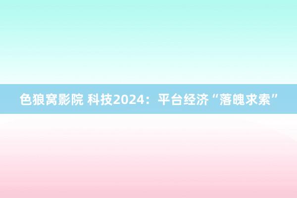 色狼窝影院 科技2024：平台经济“落魄求索”