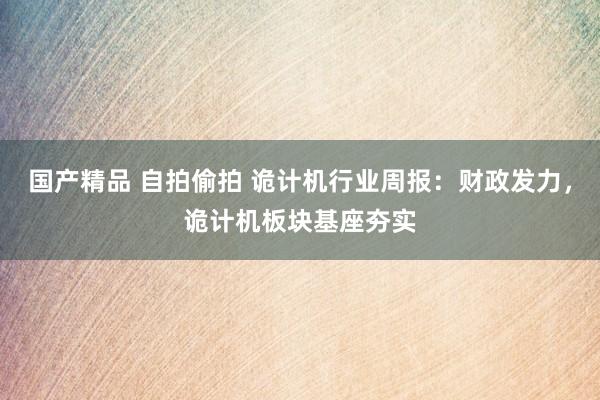 国产精品 自拍偷拍 诡计机行业周报:财政发力,诡计机板块基座夯实