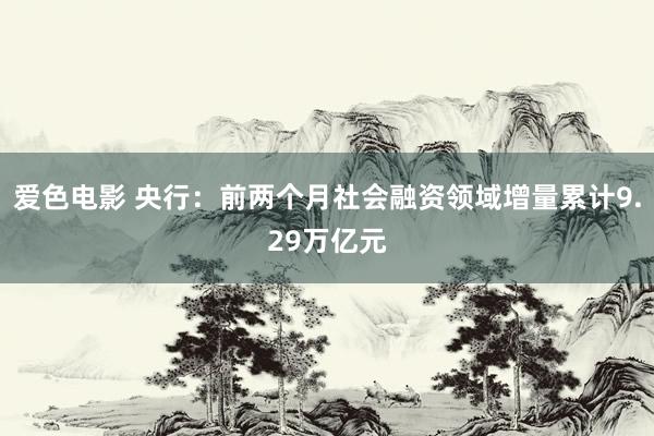 爱色电影 央行：前两个月社会融资领域增量累计9.29万亿元